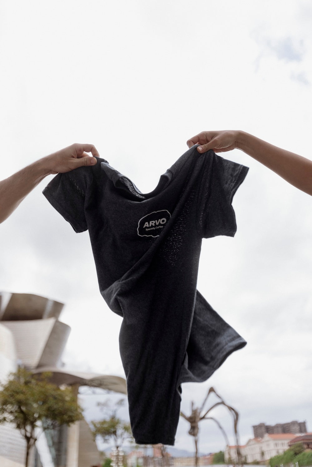 Tshirt ARVO Grey
